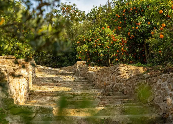 Ammou Area Σπίτι διακοπών Αμμουλιανή