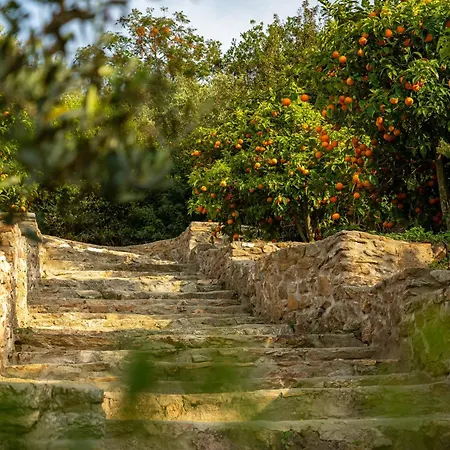 Ammou Area Vakantiehuis Ammouliana