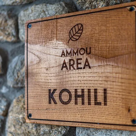 Ammou Area Holiday home Ammouliani